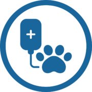 servicios veterinarios Hospitalización de Día
