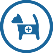 servicios veterinarios Medicina Felina