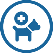 servicios veterinarios medicina canina
