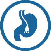 servicios veterinarios endoscopia