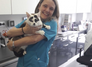 slider clinica veterinaria urreta home
