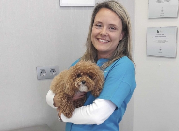 slider clinica veterinaria urreta home