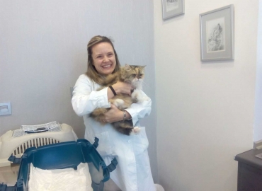 slider clinica veterinaria urreta home