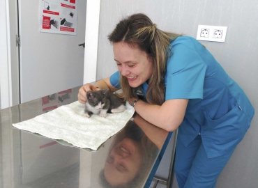 slider clinica veterinaria urreta home
