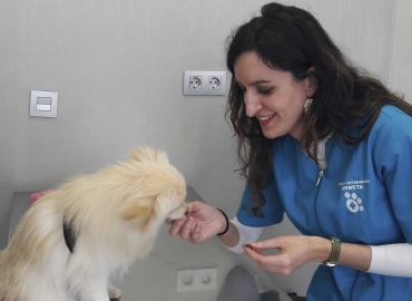 slider clinica veterinaria urreta home
