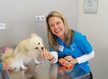 slider clinica veterinaria urreta home