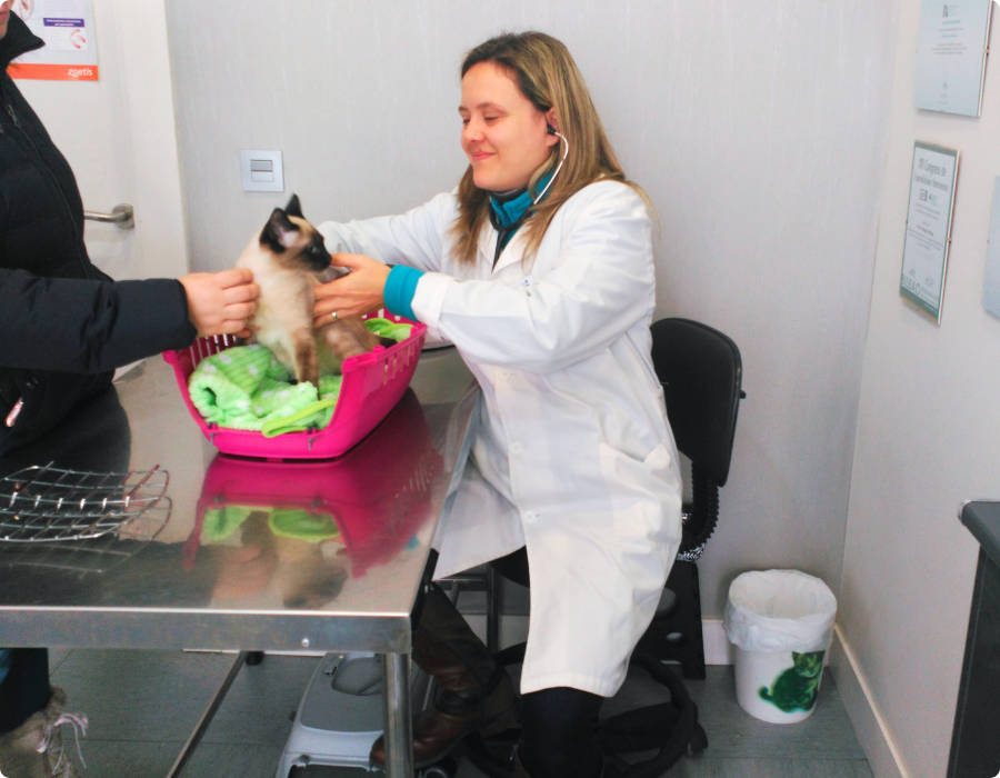 instalaciones veterinarias urreta