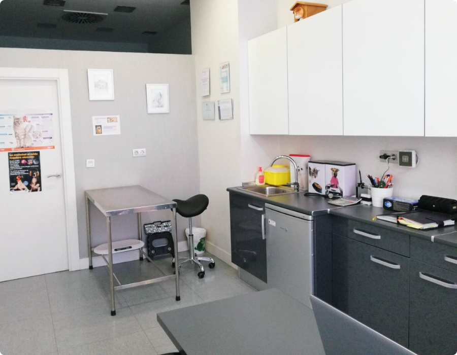 instalaciones veterinarias urreta