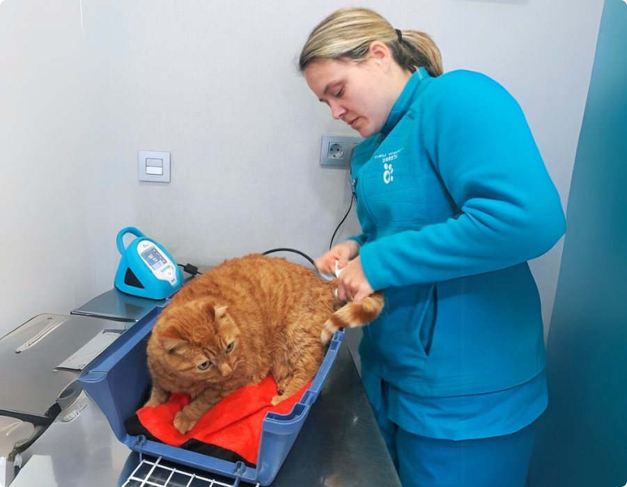 instalaciones veterinarias urreta