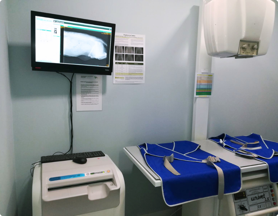 instalaciones veterinarias urreta