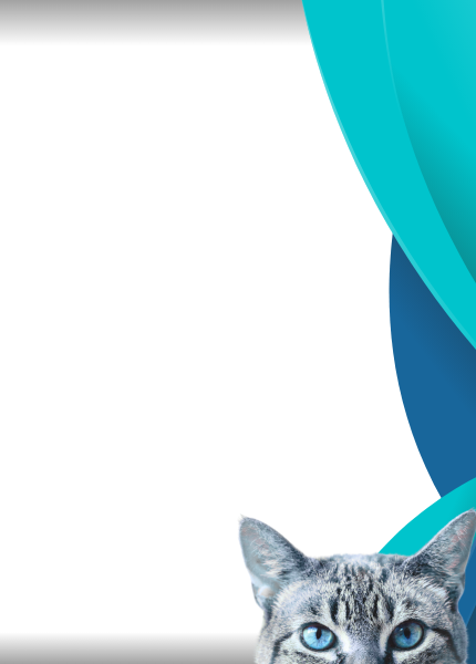 Clínica Veterinaria Urreta slider mobile