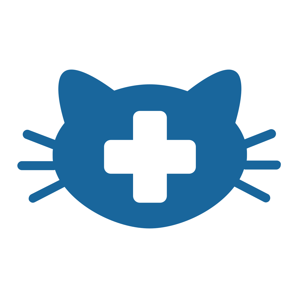 Medicina felina home clinicia veterinaria urreta